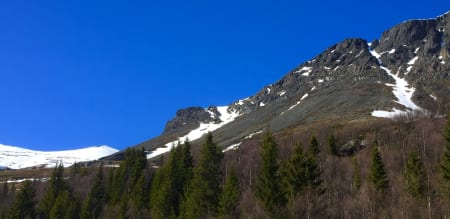 En, to, tre..Skogshornrenna, Skarvannfjellrenna, Nibbi...