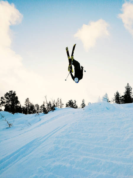 Knut - Vest-Telemark