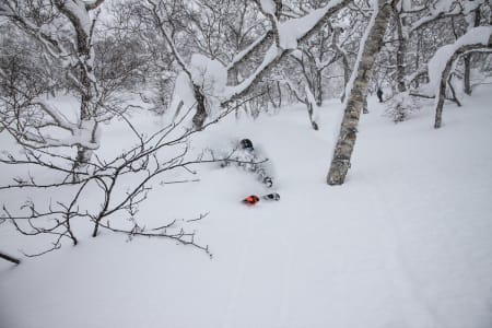 Foto: Kristoffer Kalgraff