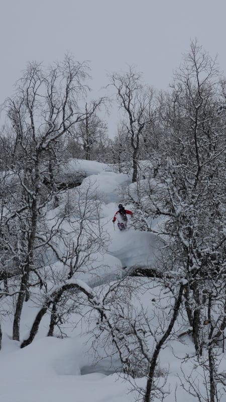 Foto: Håkon Høyem