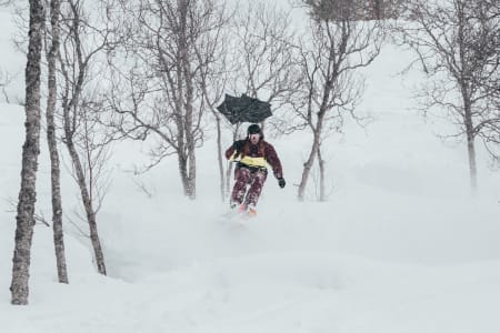 Foto: Håvard Dalen