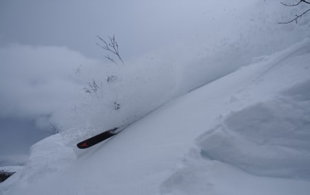 Foto: Hallvard Haanes
