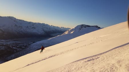 Foto: Tristan Hauff
