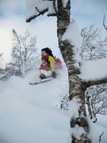 Den perfekte skog? Dagfinn utnytter i alle fall både skog og snø til det ytterste.