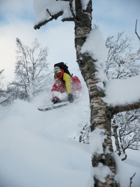 Den perfekte skog? Dagfinn utnytter i alle fall både skog og snø til det ytterste.