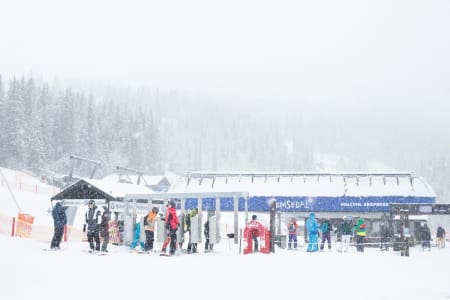 VM: Hemsedal vil ha VM i alpin. Foto: Kalle Hägglund/SkiStar