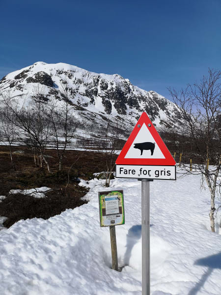 Hemsedal. Foto: Ole K. Strøm