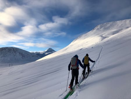 Nordmøre. Foto: Trond Stokke