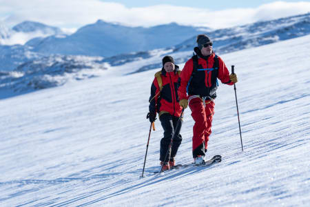 Steindalsnosi. Foto: Bård Basberg
