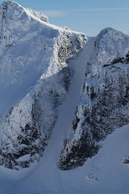 Renna på Austabotntind. Foto: Simen Berg.