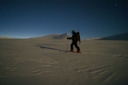 Foto: Sigmund Stensvold