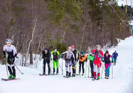 Foto: Anders Eide