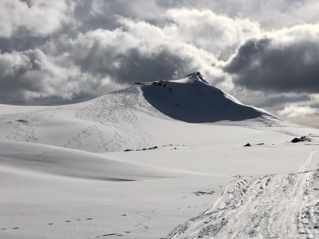 Foto: Tobias Gunnarskog
