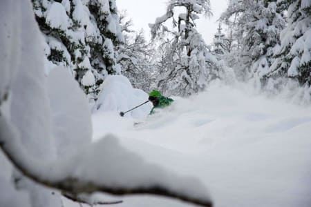 PUDDERSKOG: Voss resort kan by på pudderkjøring av ypperste merke når været er kaldt og nedbøren kommer som snø.
