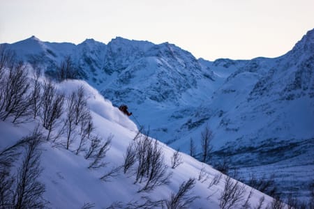 Stig Pettersen kjører pudder i fantastisk Nord-Lenangen – Foto: Ptor Spricenieks