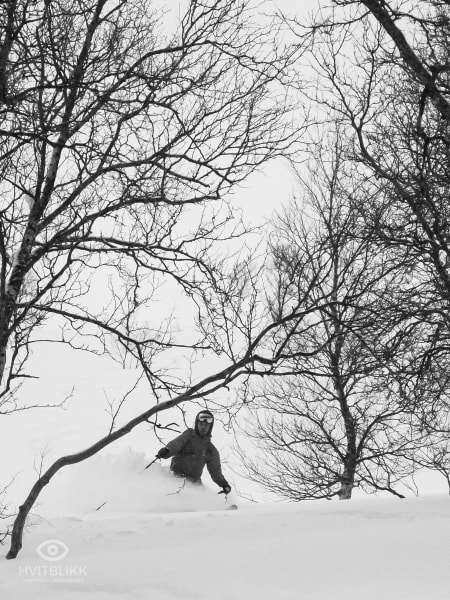 Foto: Timme Ellingjord