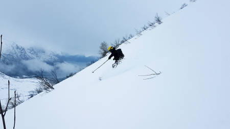Foto: Tristan Hauff