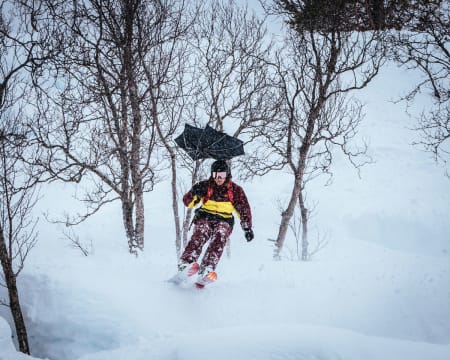 Foto: Håvard Dalen