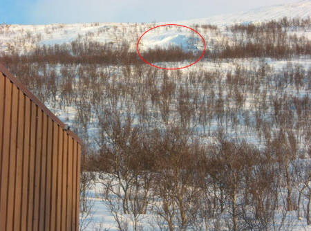 Foto: Kjetil Brattlien