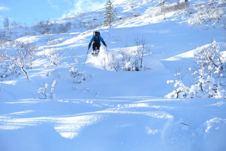 Foto: Torbjørn Pleym Løseth
