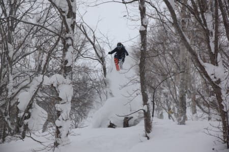 Foto: Kristoffer Kalgraff