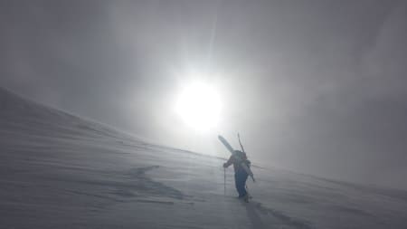 Foto: Sigbjørn Bøtun
