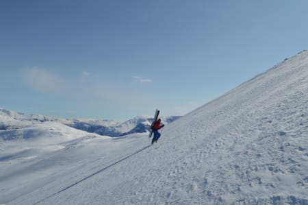 Foto: Sigbjørn Bøtun