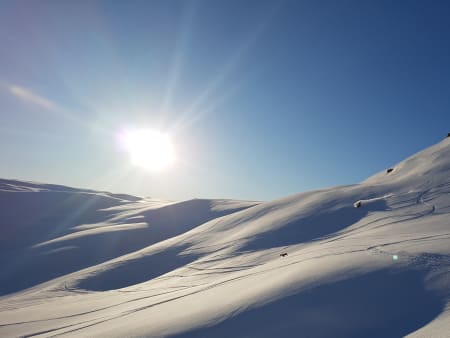 Foto: Vegard Voll Bøyum