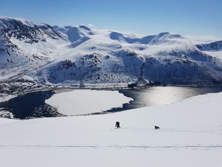 Foto: Vegard Voll Bøyum