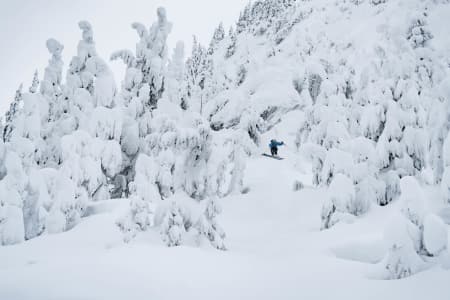 VINTERLAND: Denne uka kom det to meter snø, vi fikk nyte det i fred mens resten av Sea To Sky's filmteam var i Japan. Foto: Bård Basberg