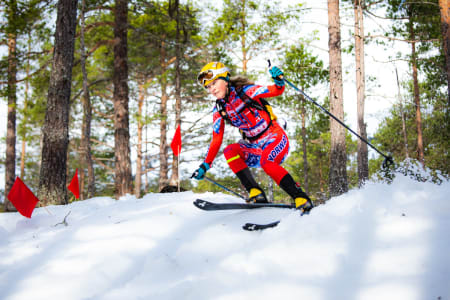 Stine Haustreis