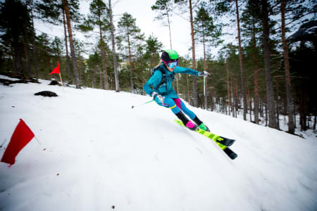 Fanny Borgström