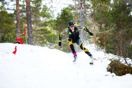 Kjetil Okkenhaug