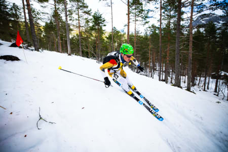 Ove Erik Tronvoll