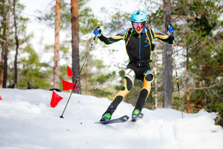Vegard Øie