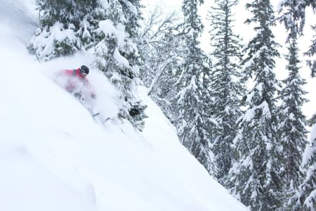 TOTTESKOGEN: Et av Norges mest brukte skogskjøringsområder, Totteskogen i Hemsedal, trues av utbygging. Arkivfoto: Kalle Hägglund