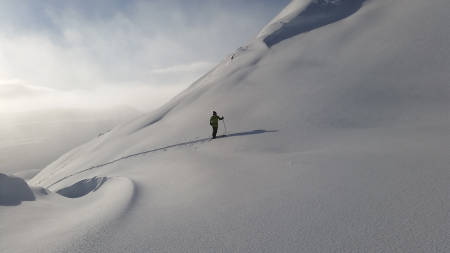 VINNER: Dette bildet fra Vikafjellet vant helgekonkurransen. Foto: Ruben Nygaard