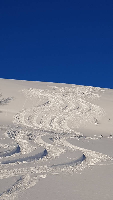 Foto: Håvard Skibenes