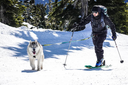 PÅ TUR: Mattias Fredriksson med sin sibirske husky Tikaani. Foto: David Kantermo
