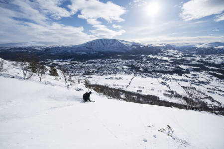 POPULÆR SKOG: Vestsida i Hovden har ypperlig skogskjøring når snøforholdene er gode. Oppdalingen Sveinung Jacobsen er tidlig ute og får førstespor i de populære offpistområdet. Foto: Martin Innerdal Dalen.