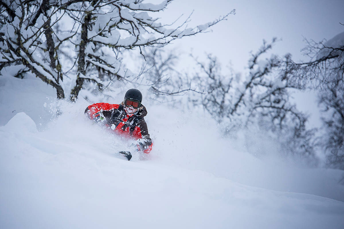 SKOGSKJØRING: Sogndal er Norges svar på Canada, og er et av stedene du finner råest skogskjøring. Foto: Vegard Breie