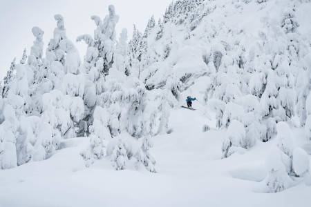 VINTERLAND: Denne uka kom det to meter snø, vi fikk nyte det i fred mens resten av Sea To Sky's filmteam var i Japan. Foto: Bård Basberg
