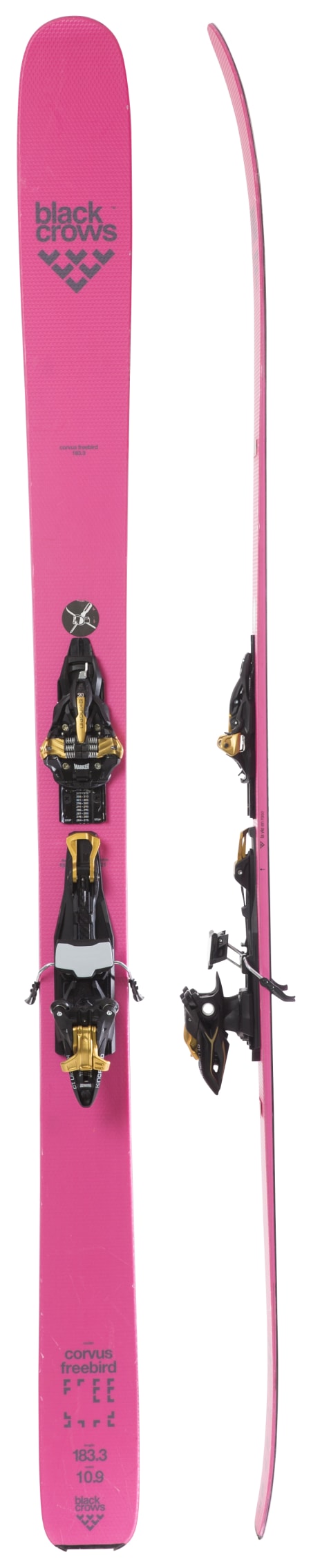 Test av Black Crows Corvus Freebird 2016 Test av Black Crows Corvus Freebird 2016