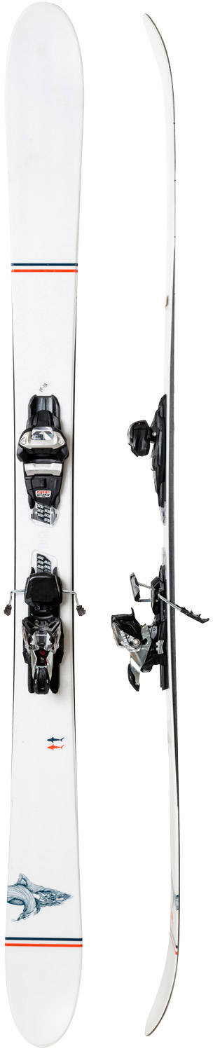 Test av Line Sir Francis Bacon 2020 Test av Line Sir Francis Bacon 2020