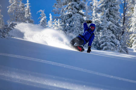 Splitboard