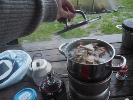 Koker krabber