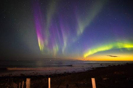 Nordlyset har også vist seg frem. Foto: Hallvard Kolltveit