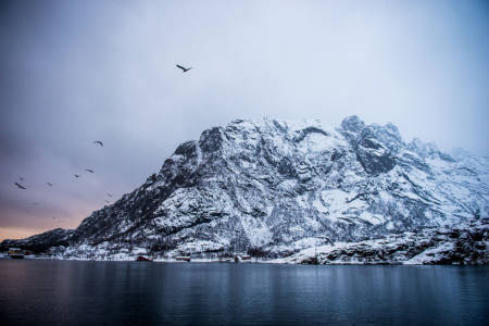 Det er ikke rart Fanning likte den norske naturen. Foto: Trevor Moran