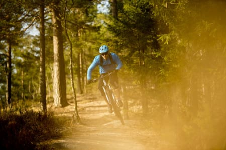 NETTVERK: Bjørn Ballangrud har helt «friweelie» havnet et stykke øst i Nordmarka. Rettere sagt Lillomarka. Foto: Vegard Breie