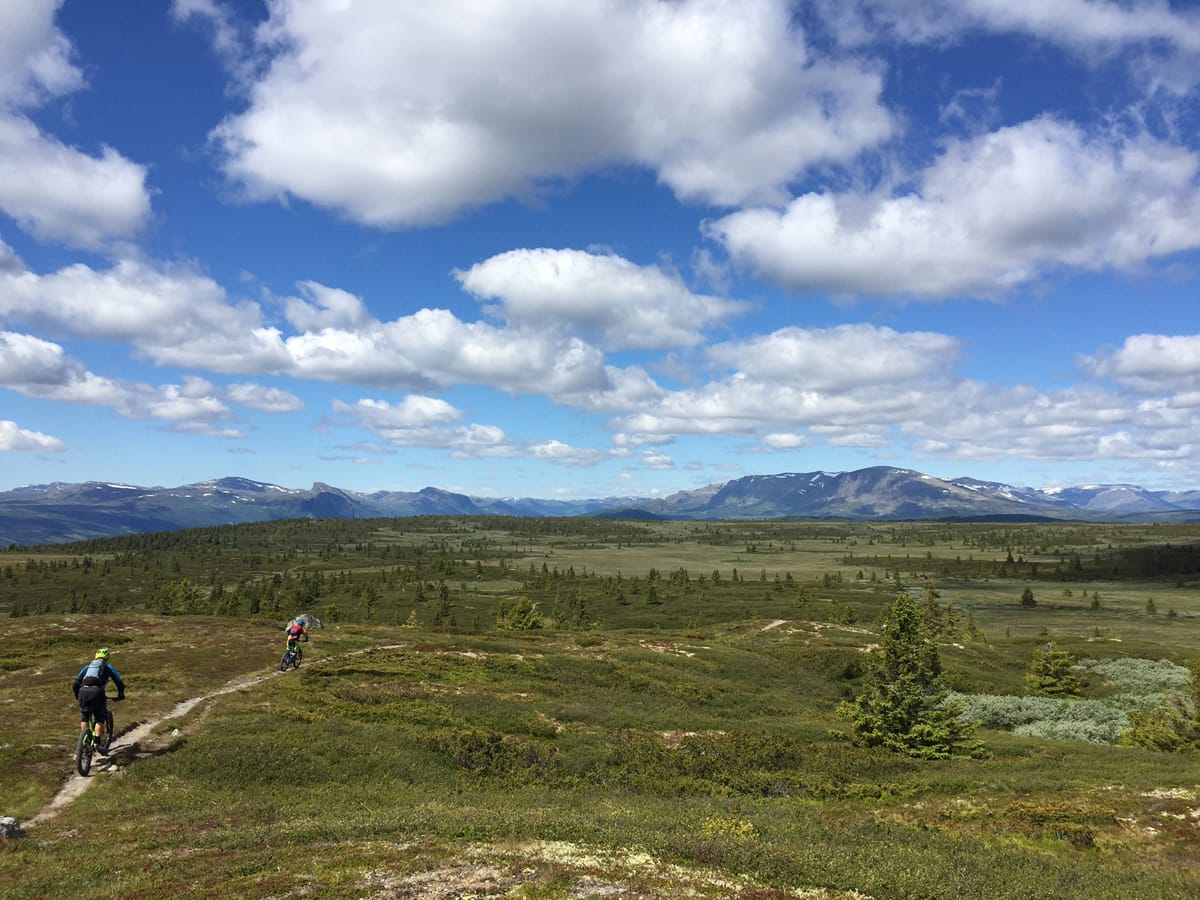 SMAL STI I MILEVIS: Hallingdal er et paradis for stisykling - her ser du hvorfor.